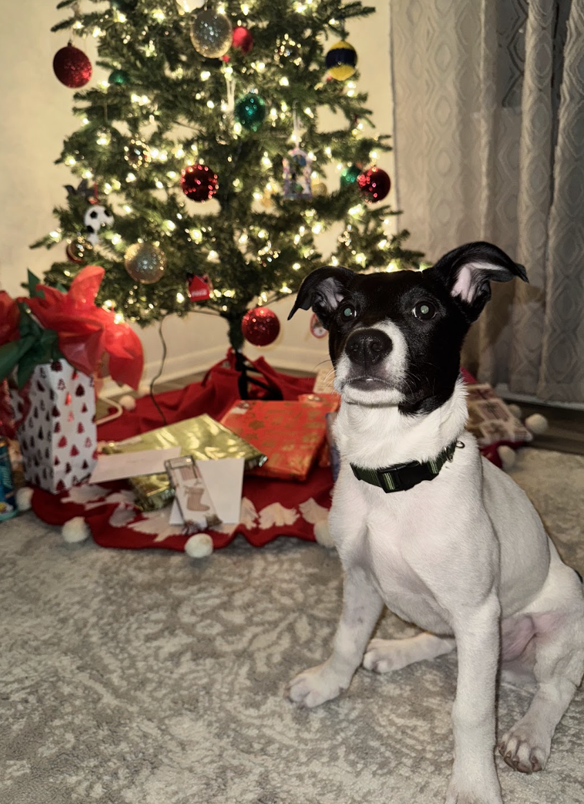 Screenshot 2026-01-14 at 9.11.20 PM.png