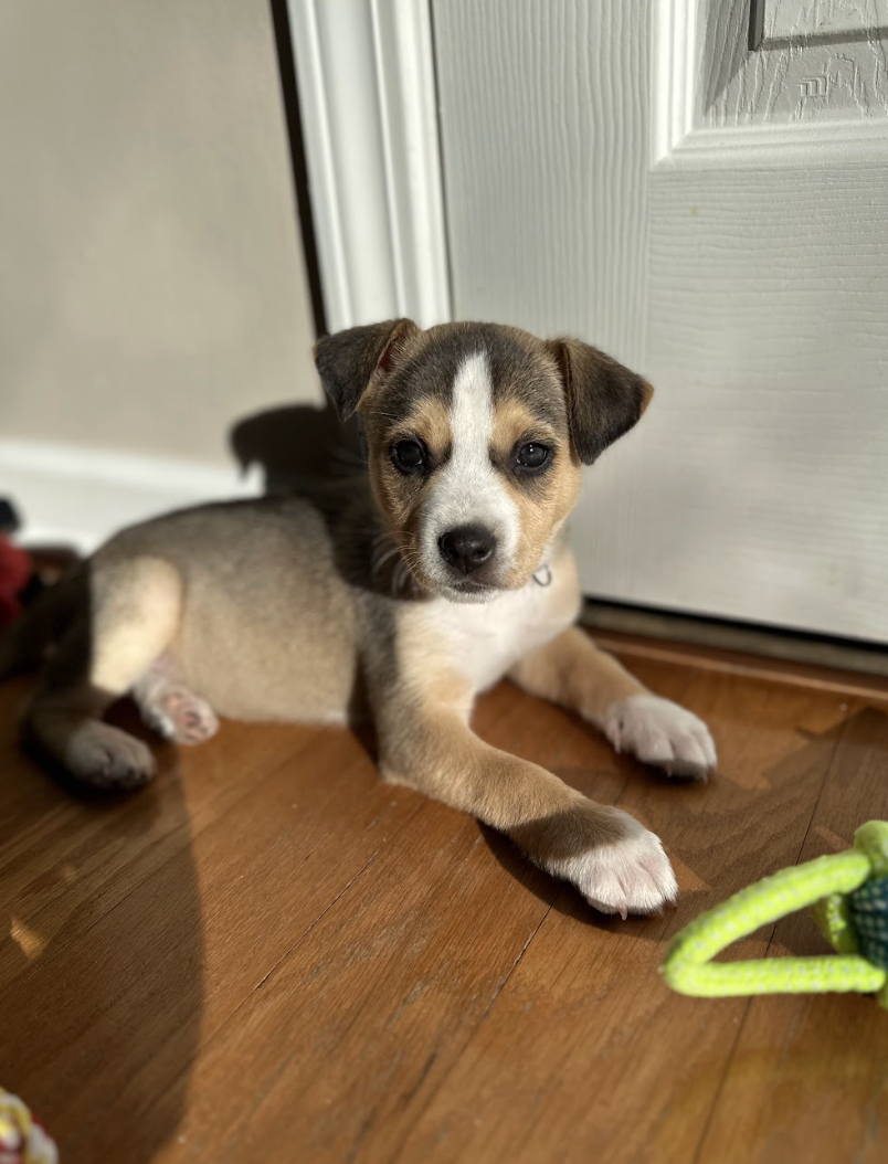 Screenshot 2026-01-15 at 7.45.29 PM.png