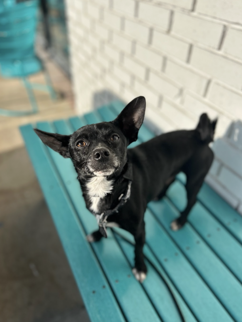 Screenshot 2026-01-14 at 1.39.43 PM.png