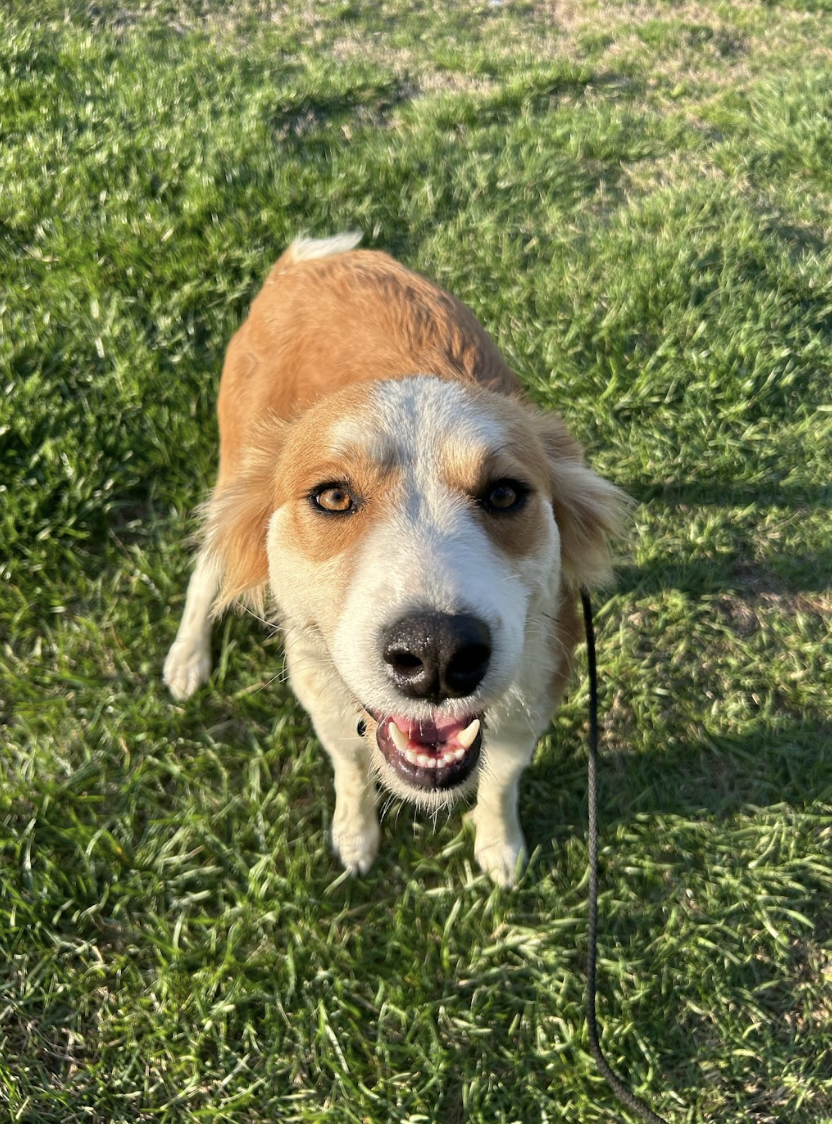 Screenshot 2026-03-14 at 5.04.59 PM.png