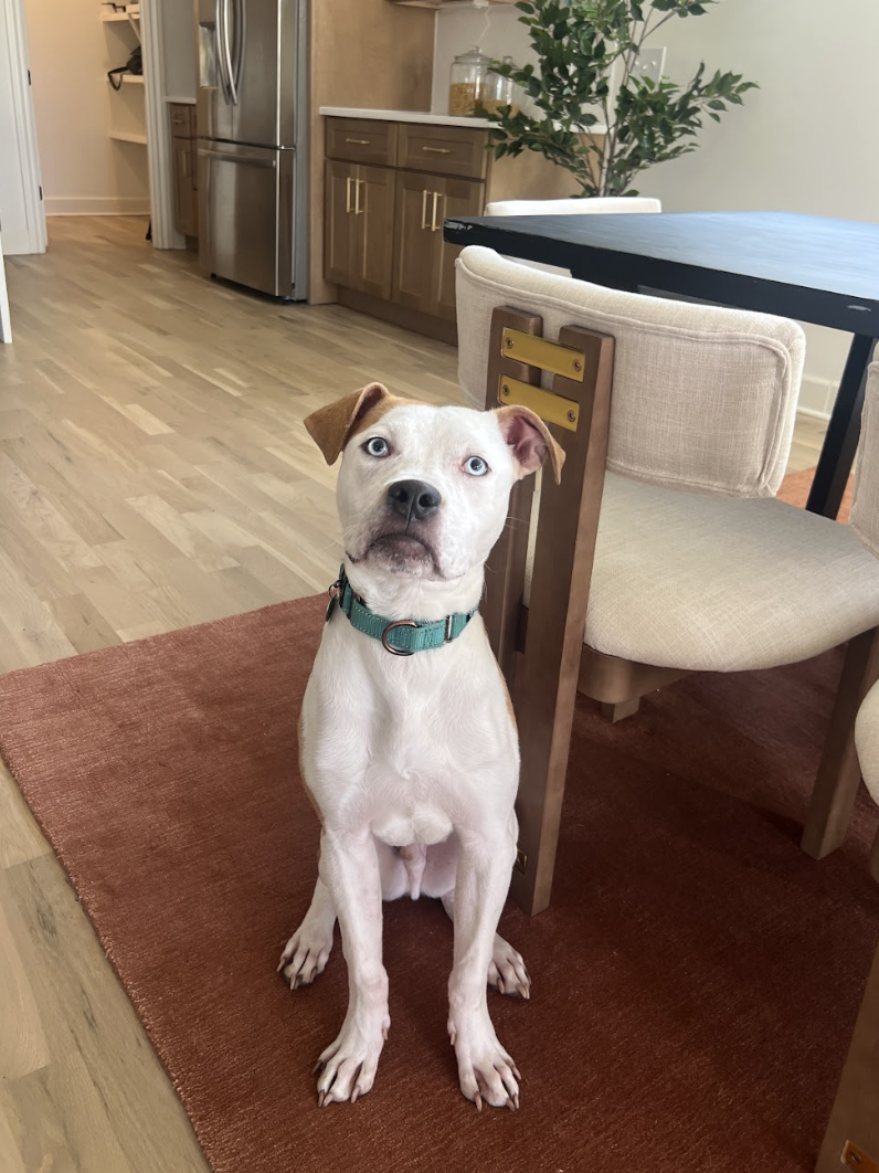 Screenshot 2026-02-13 at 12.14.49 PM.png