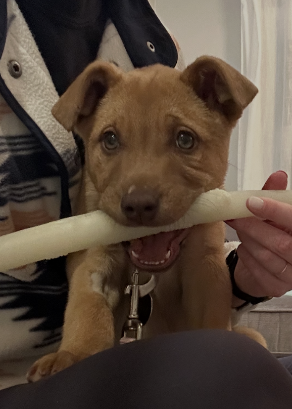 Screenshot 2026-02-07 at 8.16.06 AM.png