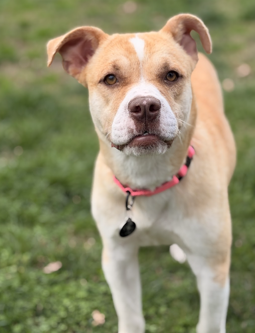 Screenshot 2026-03-18 at 4.28.28 PM.png