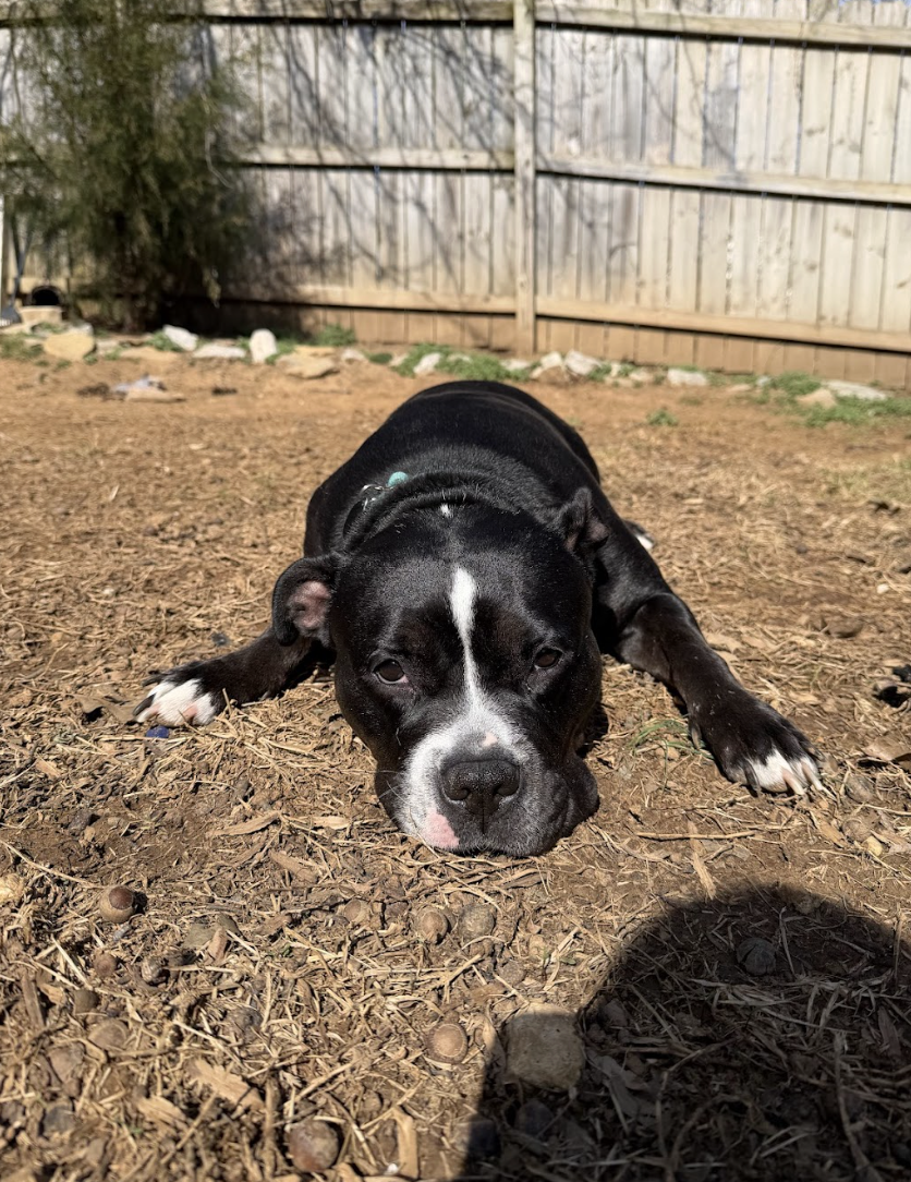 Screenshot 2026-02-26 at 2.20.46 PM.png