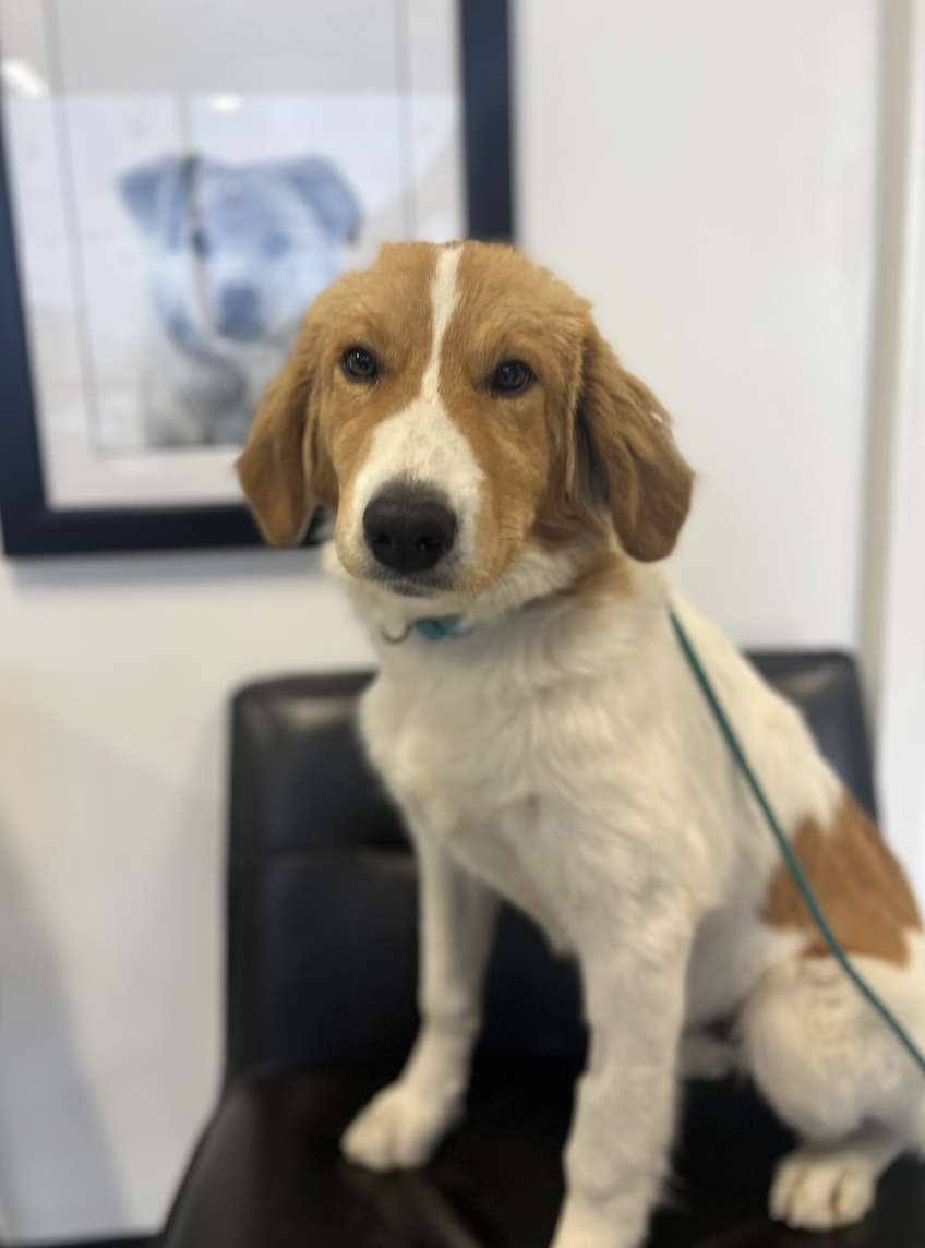 Screenshot 2025-12-18 at 1.35.24 PM.png