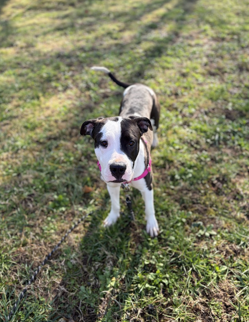 Screenshot 2026-04-21 at 5.31.14 PM.png