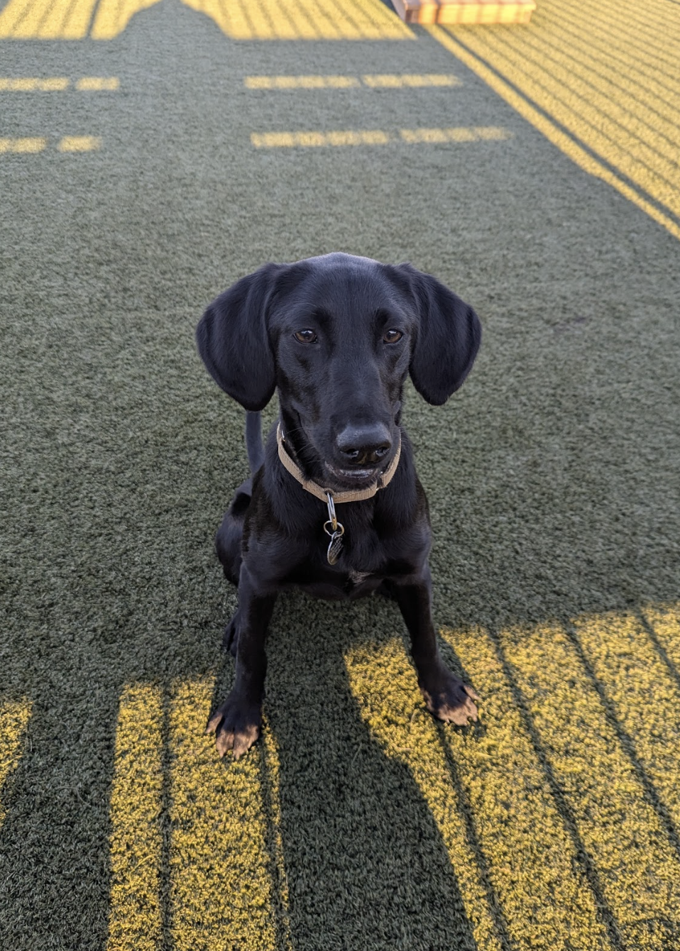 Screenshot 2025-11-18 at 12.52.30 PM.png