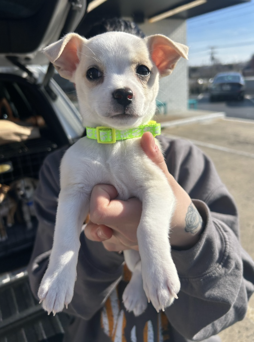 Screenshot 2026-02-26 at 12.49.10 PM.png