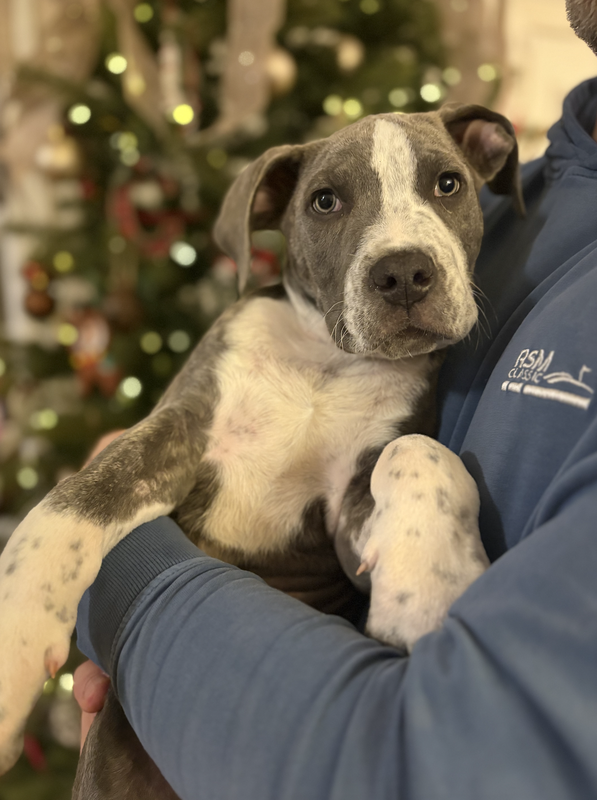 Screenshot 2025-12-21 at 12.18.34 PM.png