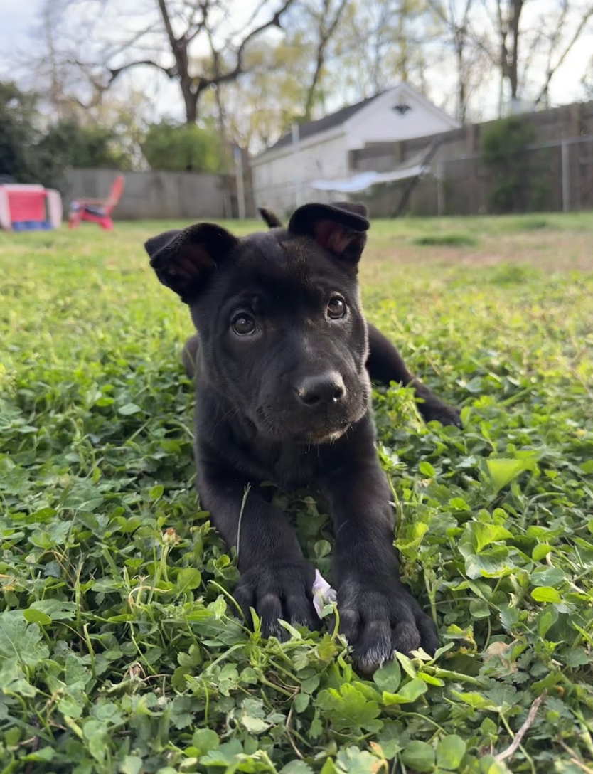 Screenshot 2026-04-08 at 3.26.32 PM.png