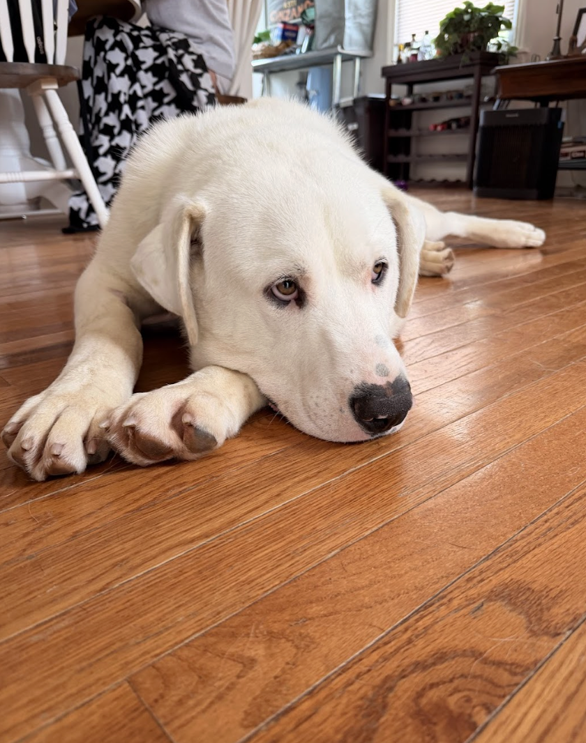 Screenshot 2026-04-14 at 5.23.13 PM.png