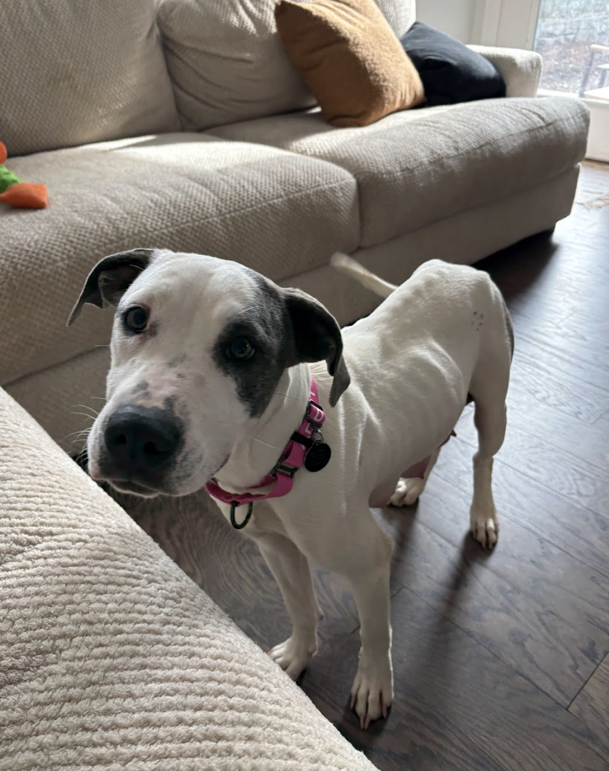 Screenshot 2026-04-14 at 6.20.55 PM.png