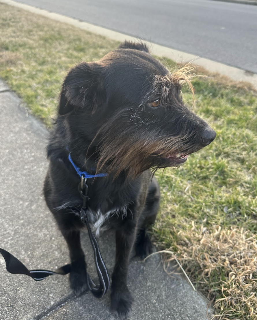 Screenshot 2026-02-07 at 8.22.47 AM.png