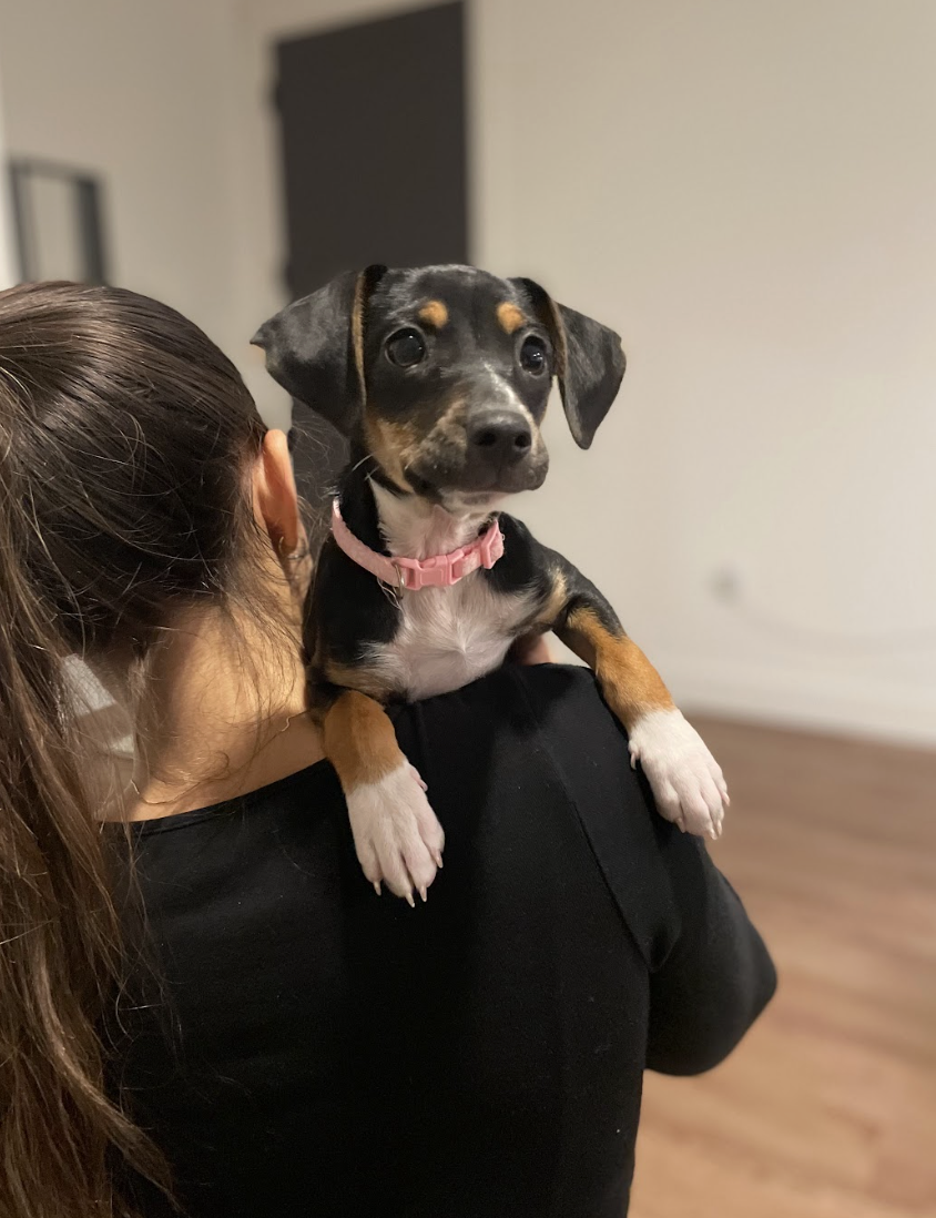 Screenshot 2026-02-26 at 1.20.27 PM.png