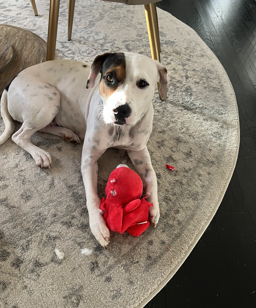 Screenshot 2026-01-14 at 9.19.33 PM.png