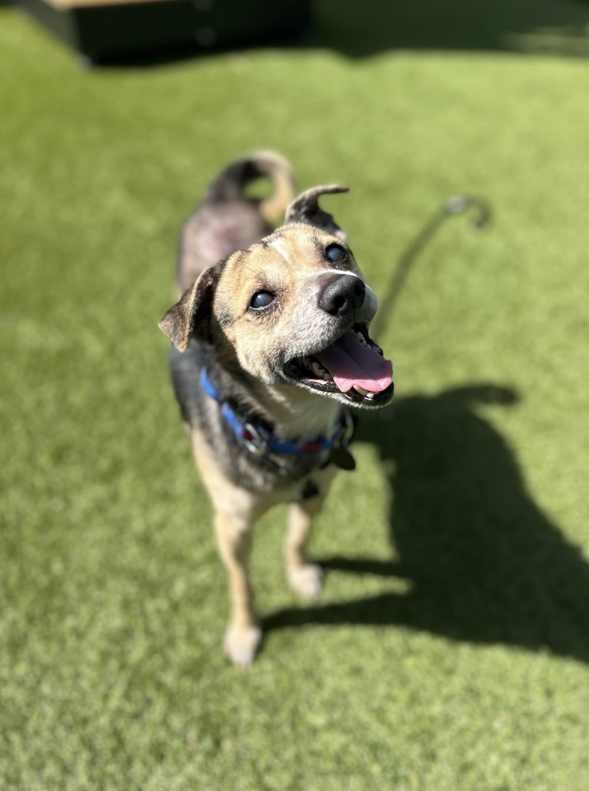 Screenshot 2026-04-28 at 2.08.33 PM.png