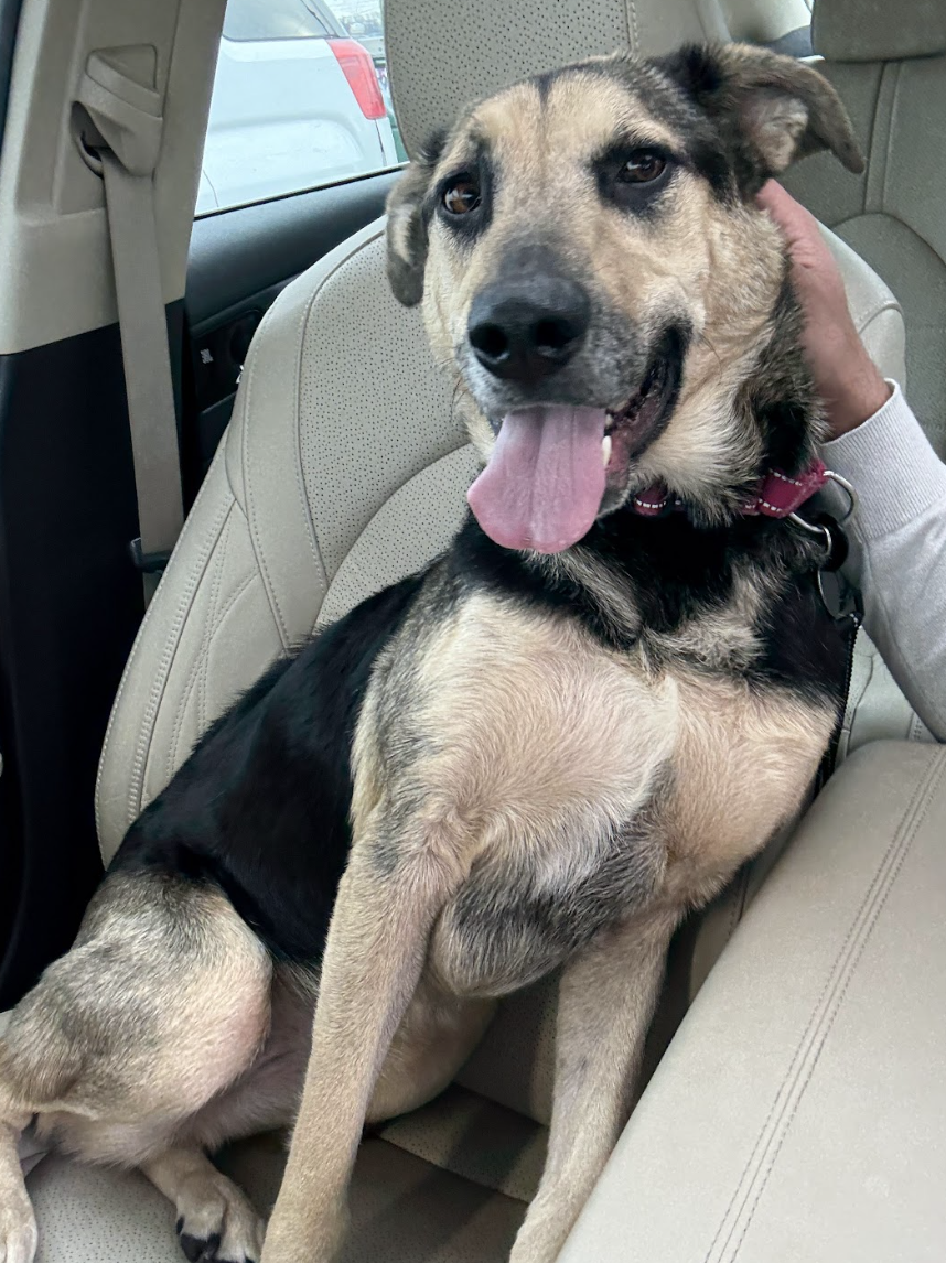 Screenshot 2026-04-14 at 7.26.31 PM.png