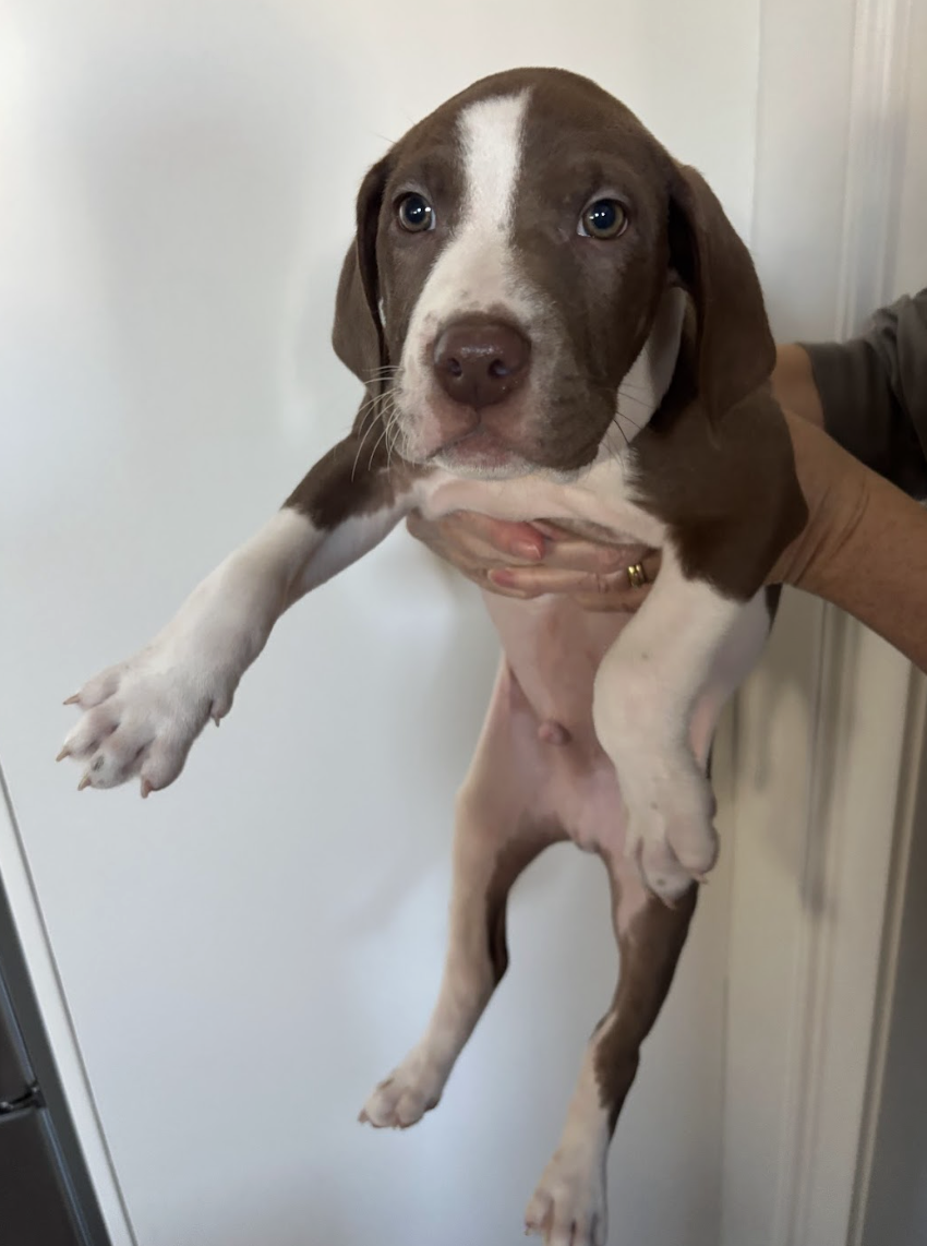 Screenshot 2026-01-07 at 1.19.18 PM.png