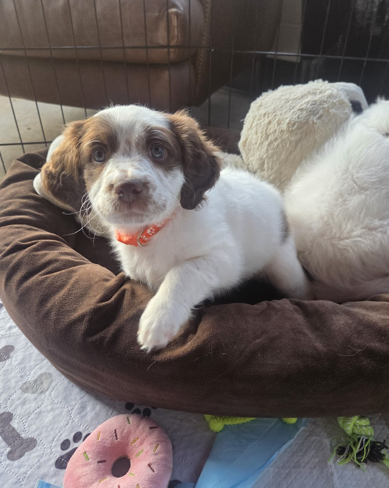 Screenshot 2026-03-10 at 8.54.24 PM.png