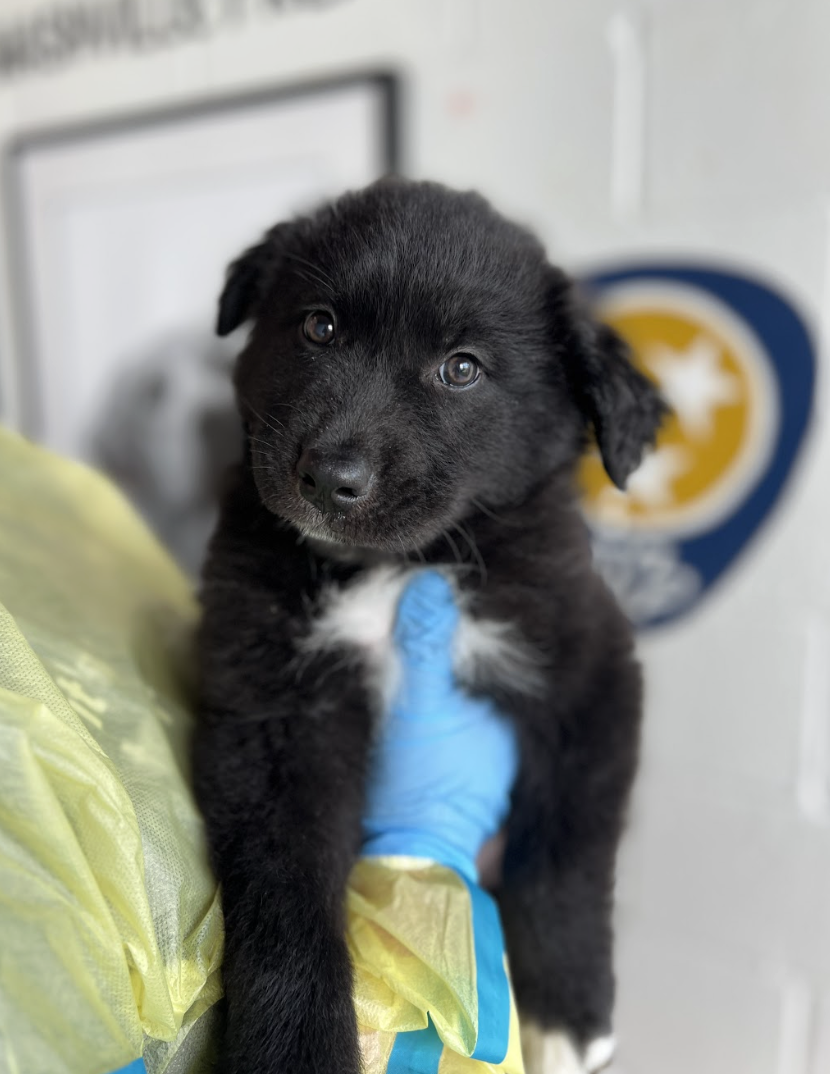 Screenshot 2026-04-16 at 4.09.35 PM.png