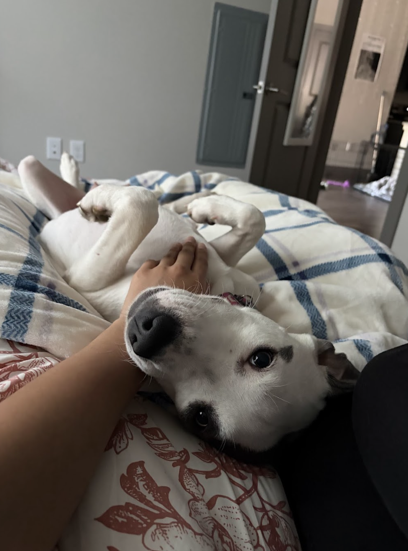 Screenshot 2026-04-14 at 6.20.06 PM.png