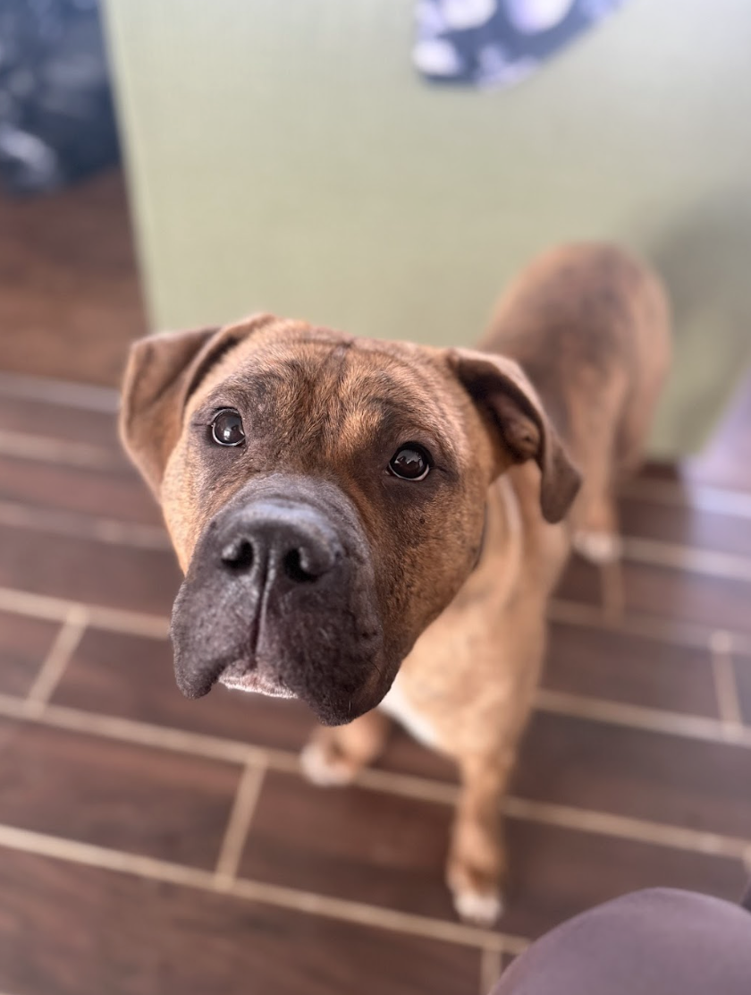 Screenshot 2026-02-26 at 2.19.27 PM.png