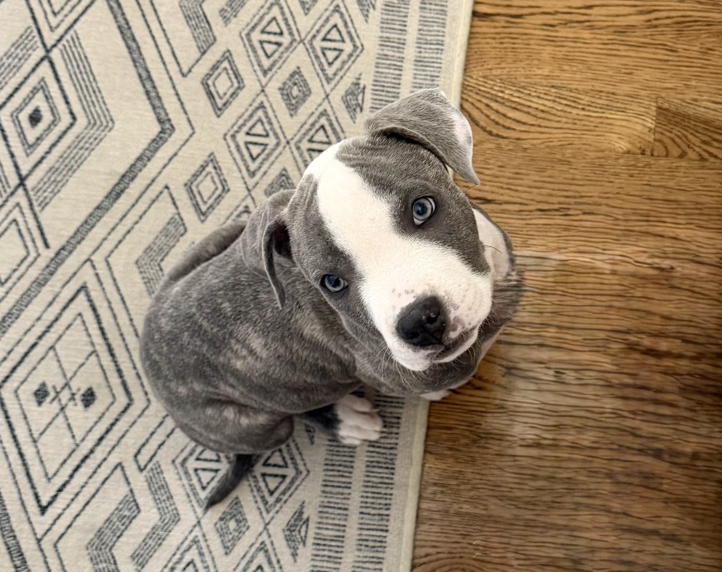 Screenshot 2026-04-03 at 2.21.48 PM.png