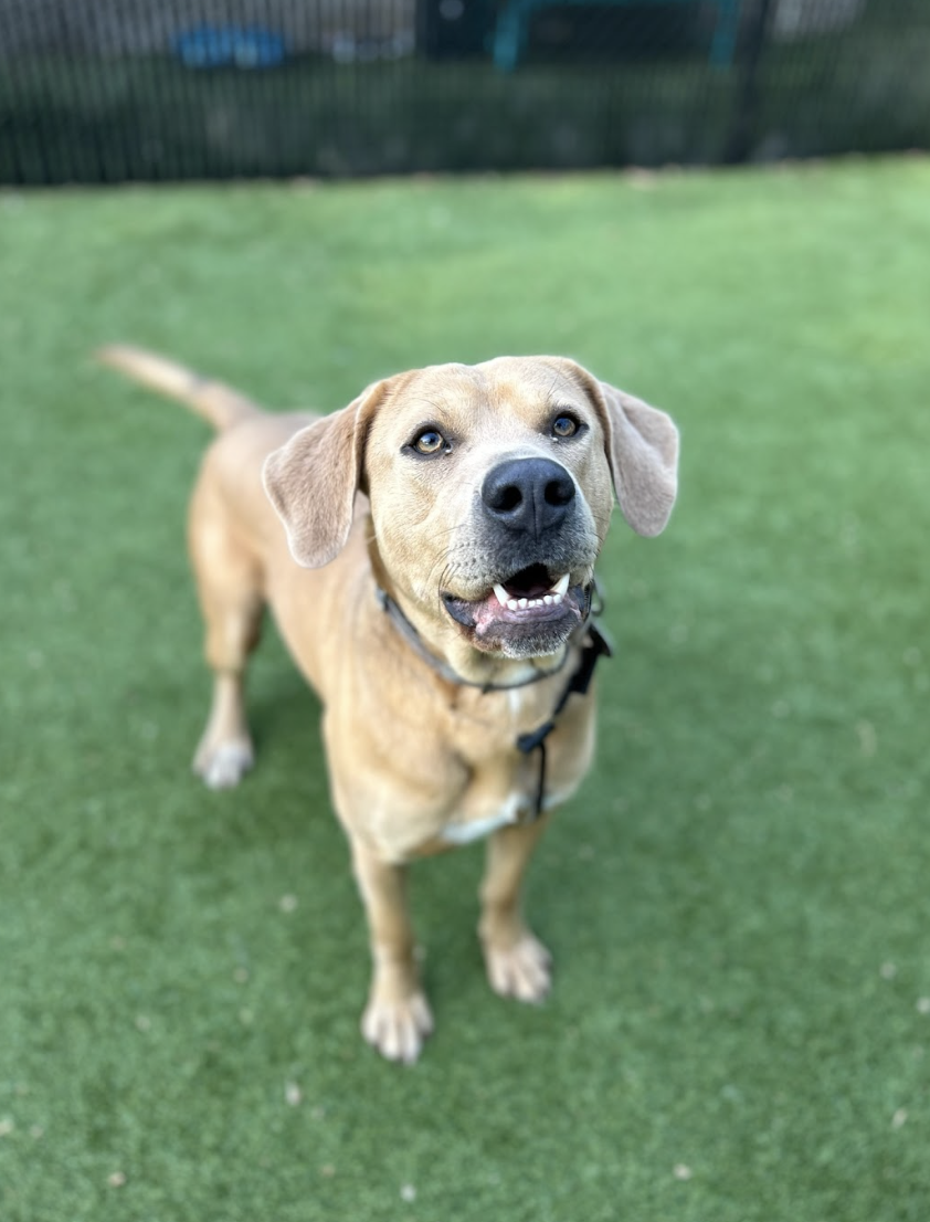 Screenshot 2026-04-09 at 6.41.37 PM.png