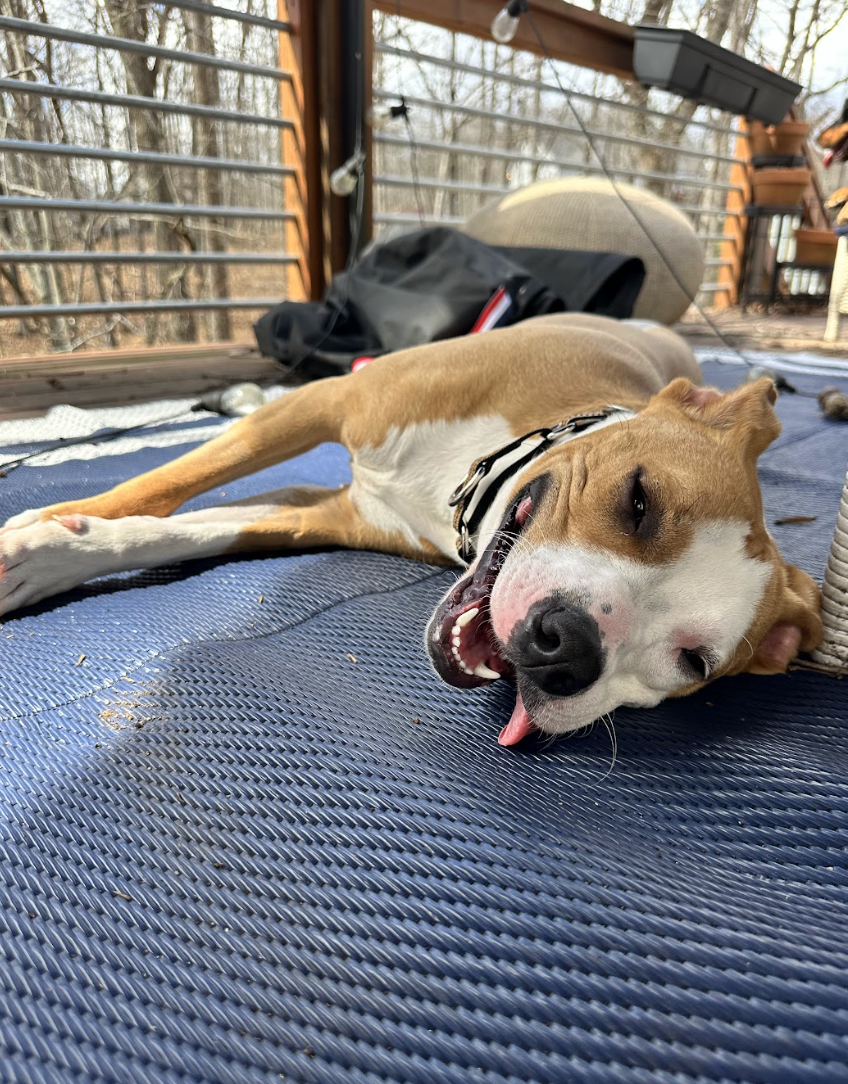 Screenshot 2026-03-06 at 2.36.48 PM.png