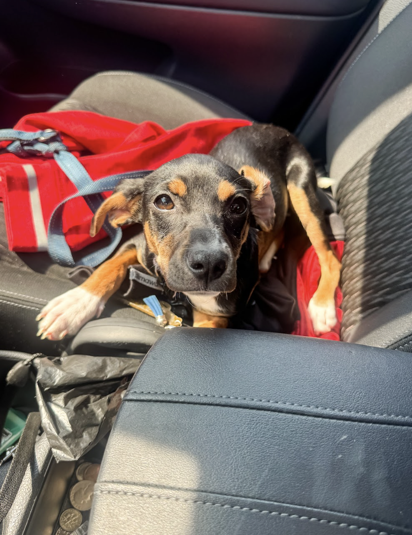 Screenshot 2026-03-25 at 3.05.05 PM.png