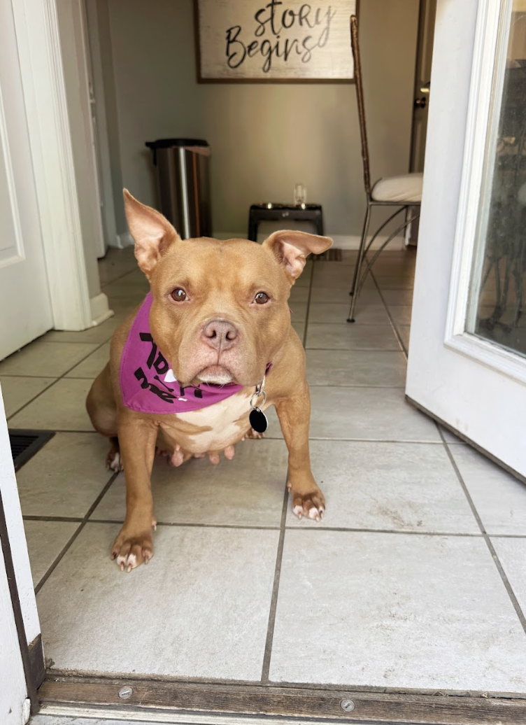 Screenshot 2026-04-22 at 5.56.05 PM.png