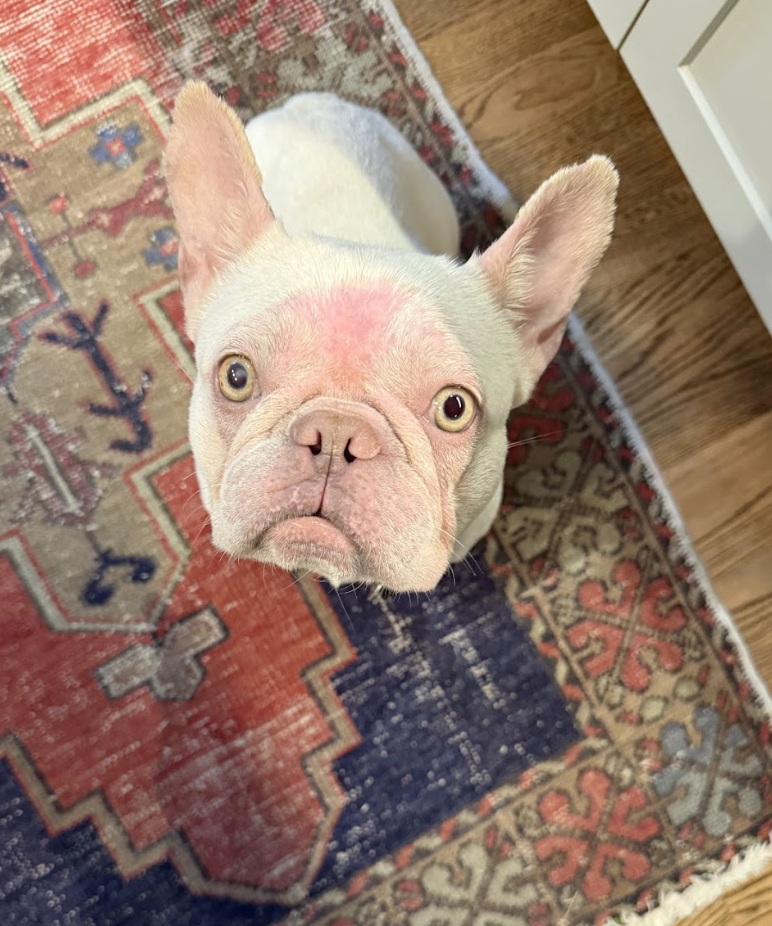 Screenshot 2026-04-28 at 2.15.03 PM.png