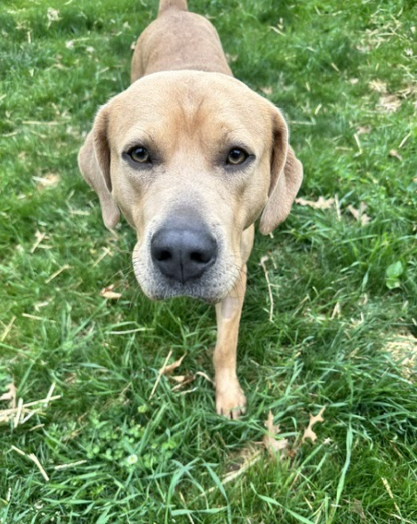 Screenshot 2026-04-22 at 5.20.01 PM.png