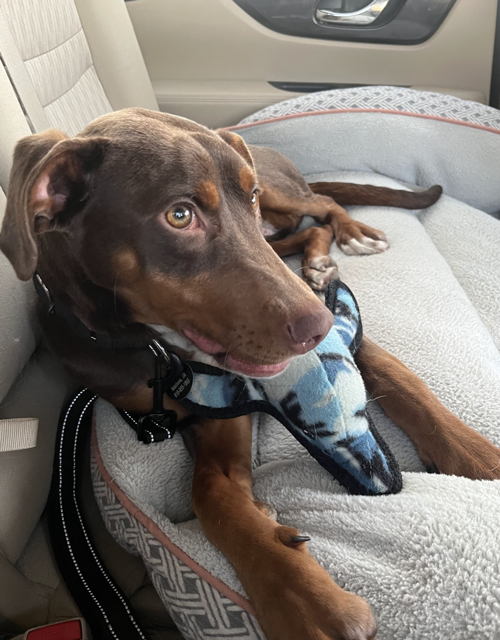 Screenshot 2026-02-07 at 8.08.46 AM.png