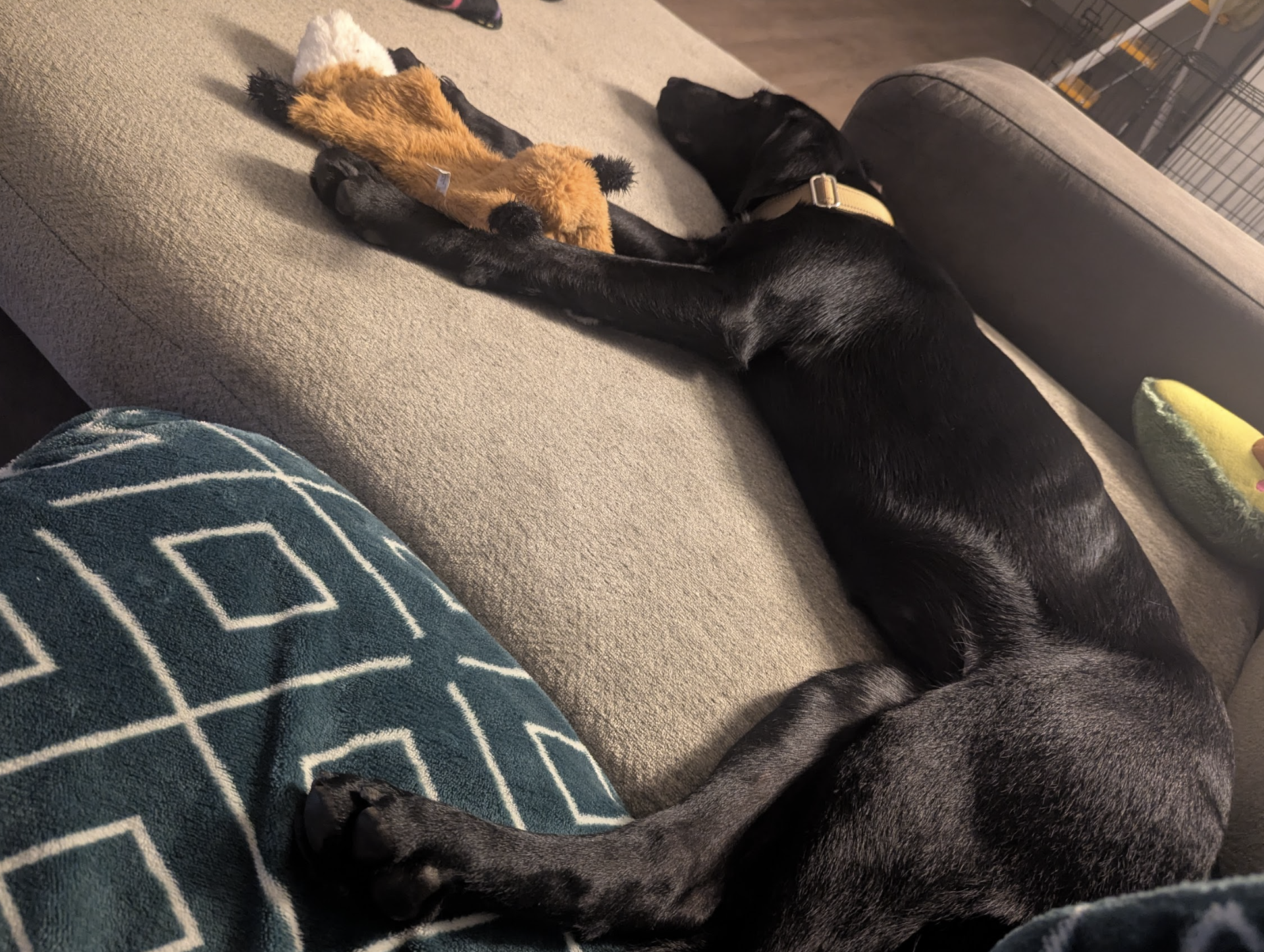 Screenshot 2025-11-18 at 12.52.25 PM.png