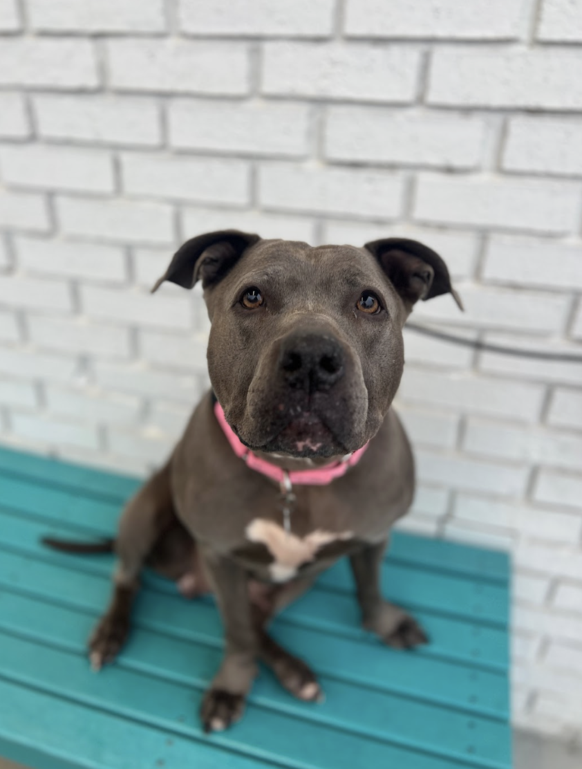 Screenshot 2026-01-15 at 1.37.25 PM.png