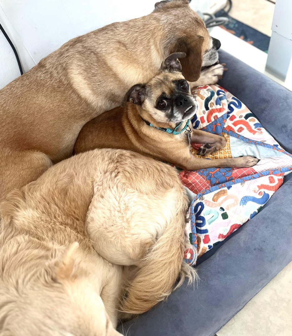 Screenshot 2026-01-14 at 9.33.59 PM.png