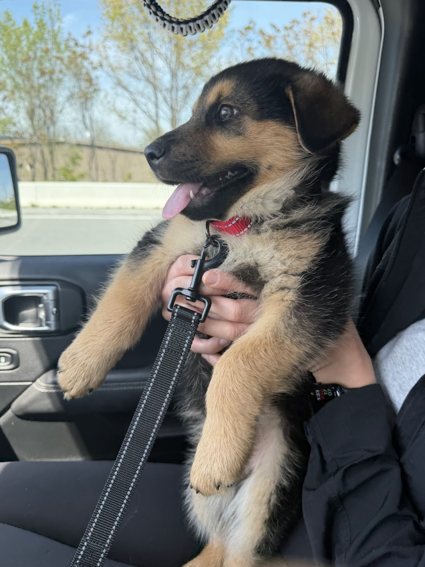 Screenshot 2026-04-10 at 3.11.10 PM.png