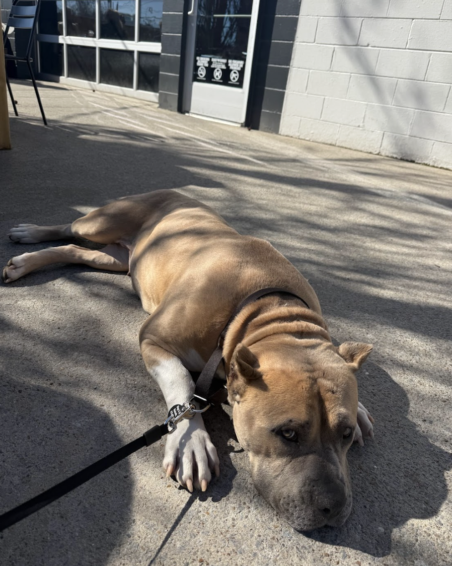 Screenshot 2026-02-27 at 2.36.03 PM.png