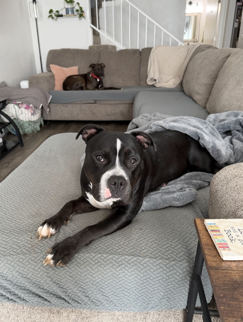 Screenshot 2026-02-26 at 2.21.00 PM.png