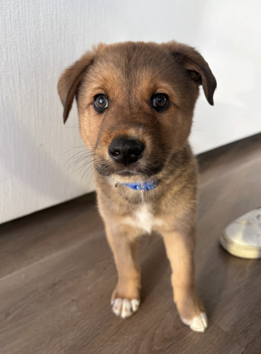 Screenshot 2026-03-05 at 6.17.29 PM.png