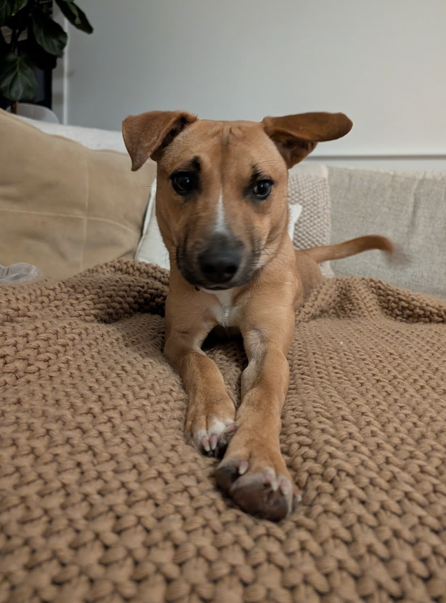 Screenshot 2026-01-14 at 9.12.43 PM.png