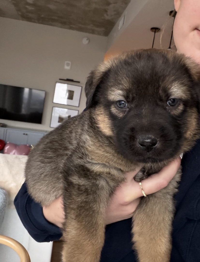 Screenshot 2026-03-05 at 6.09.58 PM.png