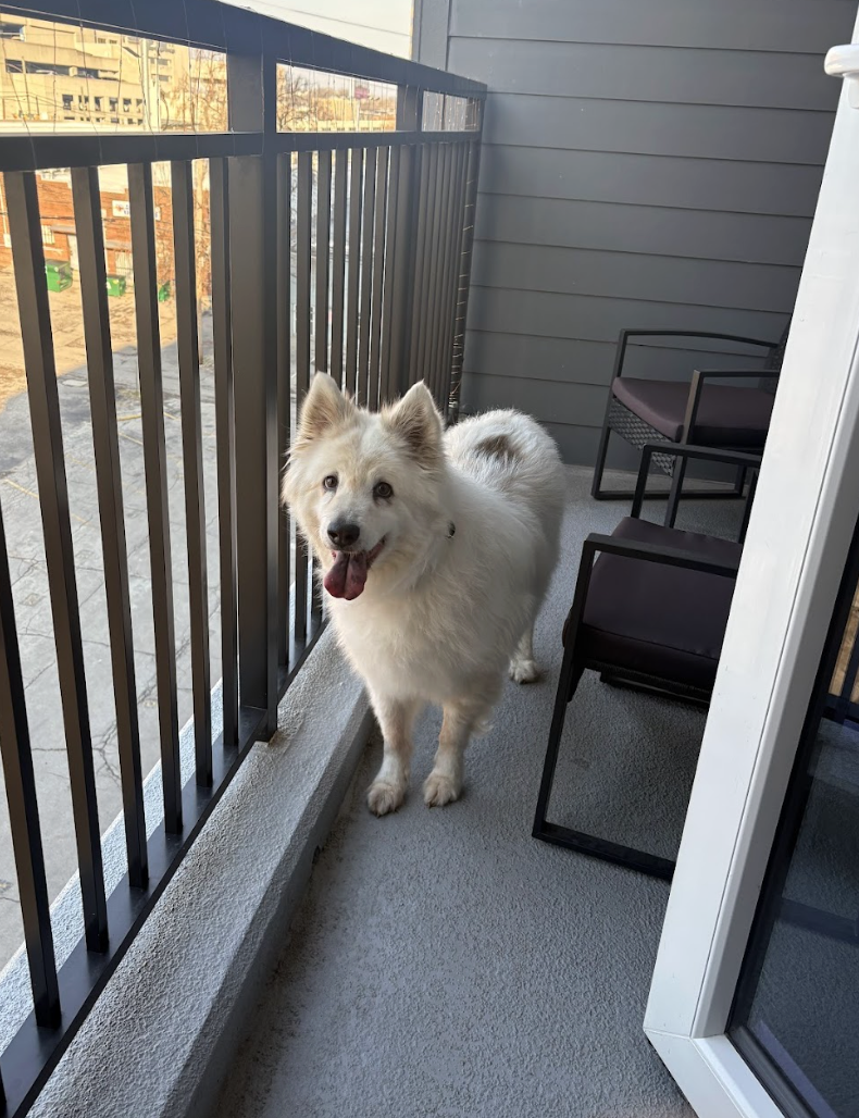 Screenshot 2026-03-24 at 12.28.40 PM.png