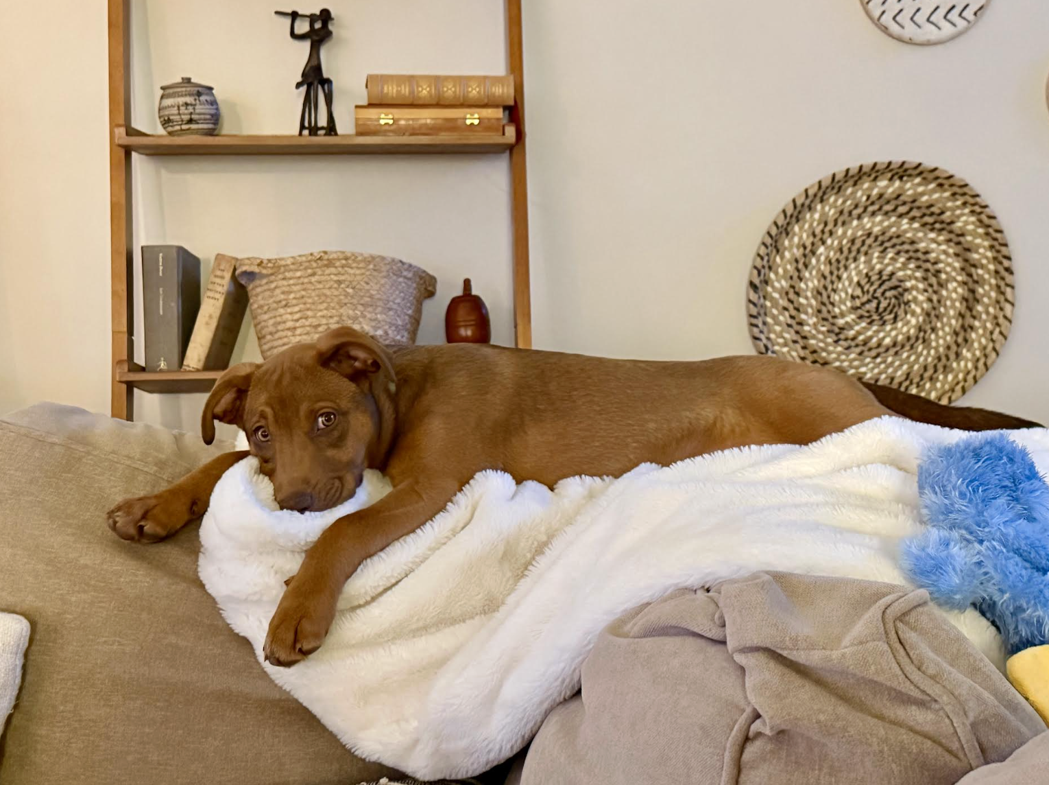 Screenshot 2026-03-19 at 1.01.59 PM.png