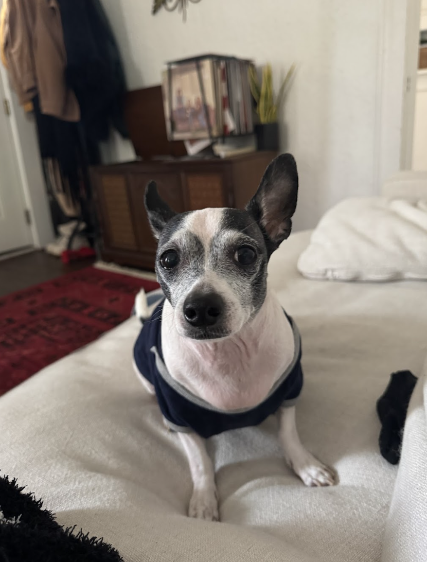 Screenshot 2026-04-22 at 4.13.27 PM.png