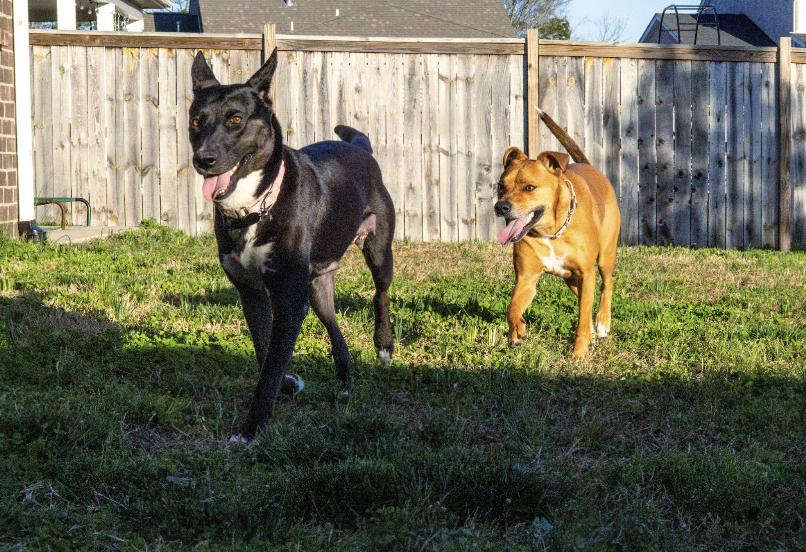 Screenshot 2026-03-17 at 12.21.19 PM.png