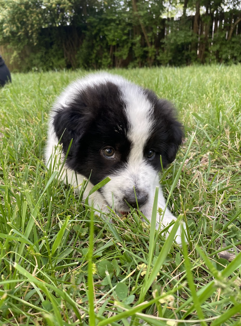 Screenshot 2026-04-13 at 2.46.43 PM.png