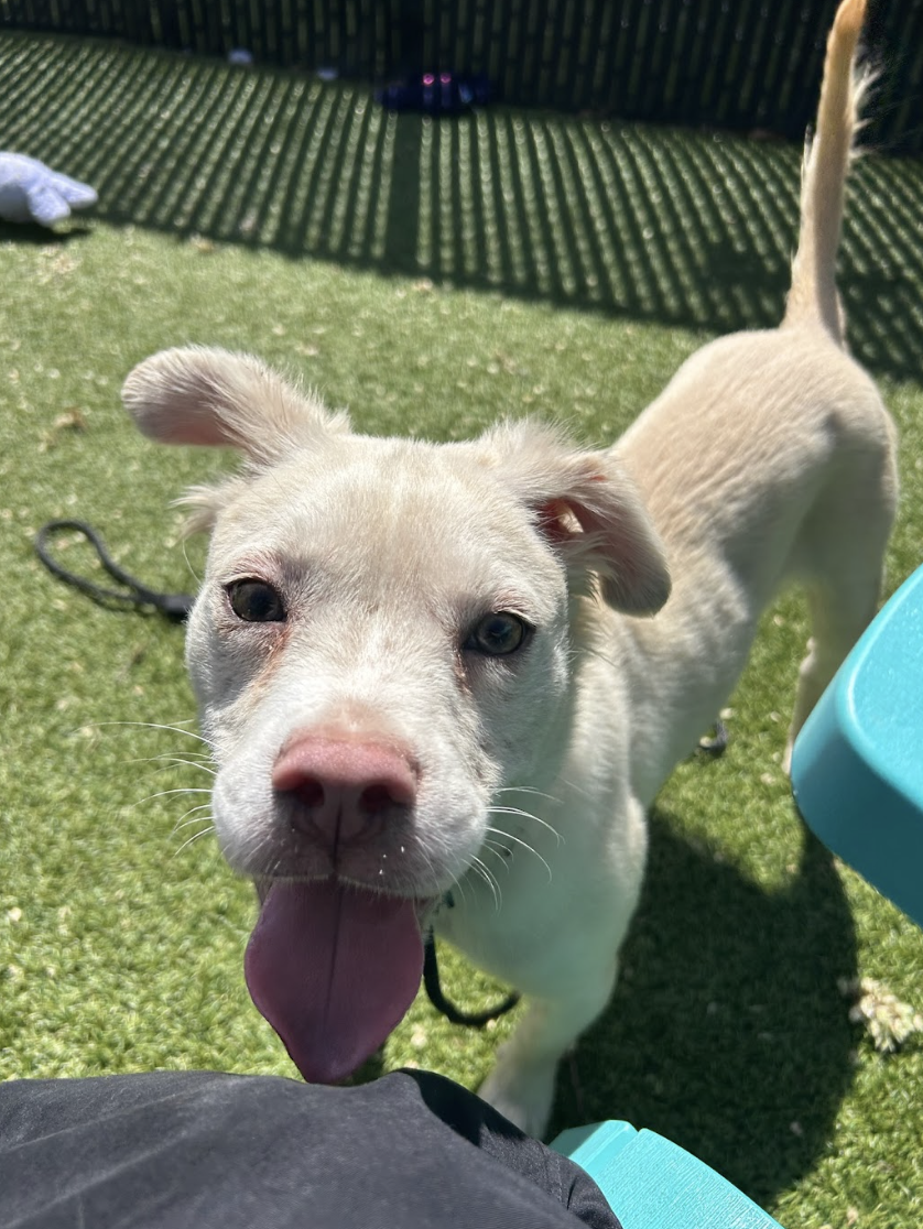 Screenshot 2026-03-26 at 2.09.49 PM.png