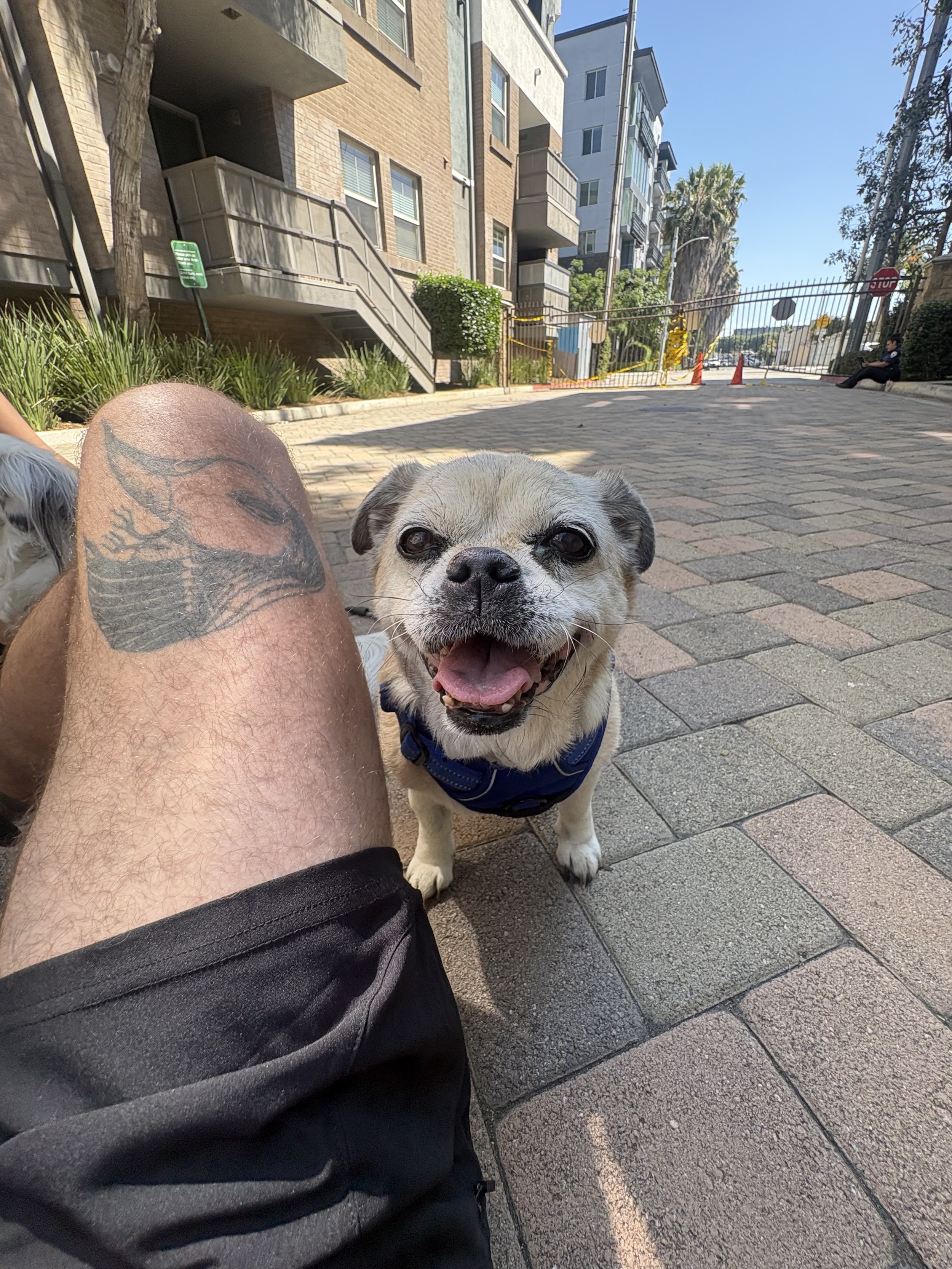 IMG_5469.jpeg